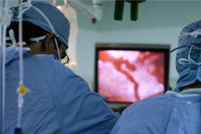 INESC Porto na vanguarda do transplante renal