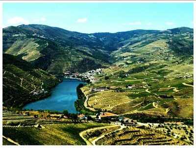 INESC TEC apresenta portal Douro Valley
