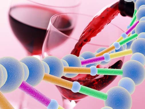 Sensores INESC TEC identificam ADN dos vinhos