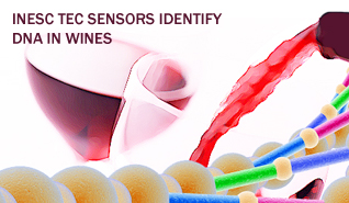 INESC TEC sensors identify DNA in wines