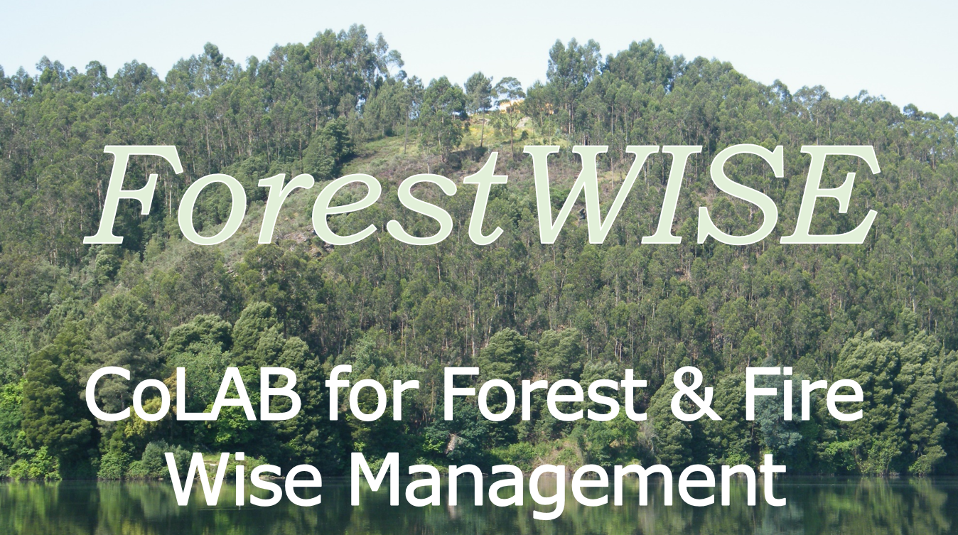 INESC TEC promotes Collaborative Laboratory for Integrated Forest and Fire Wise Management