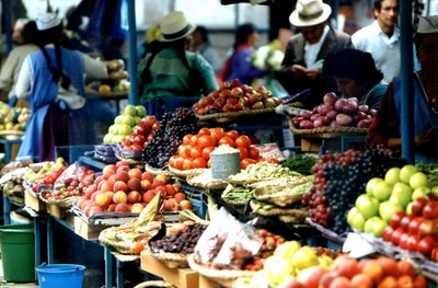 INESC TEC com projeto aprovado na área de Gestão de Produtos Alimentares Perecíveis