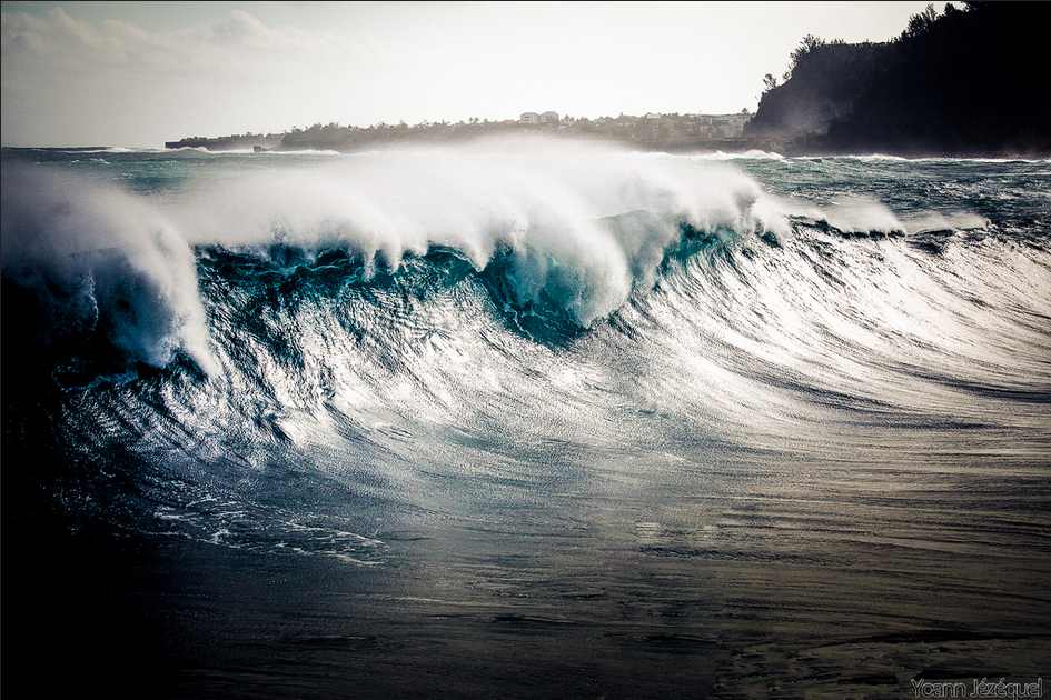 O CHARME DISCRETO DO FUNDO DO MAR