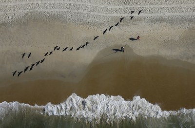 MARINEYE CRIA PROTÓTIPO PARA MONITORIZAR OCEANOS