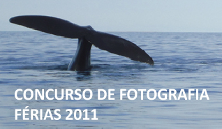 BIP lança Concurso de Fotografia “Férias 2011” BIP lança Concurso de Fotografia “Férias 2011”