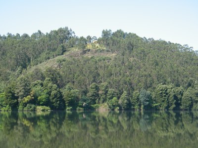 INESC TEC promove laboratório colaborativo para a gestão integrada da floresta e do fogo