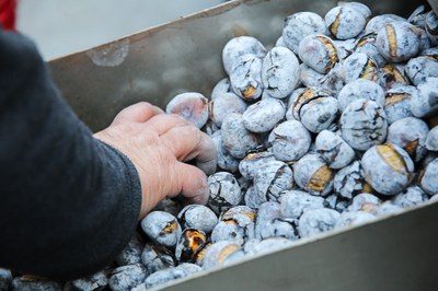 BIP atinge a maioridade com sabor a castanhas