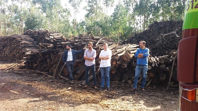 INESC TEC trabalha no uso de biomassa florestal para produção de energia
