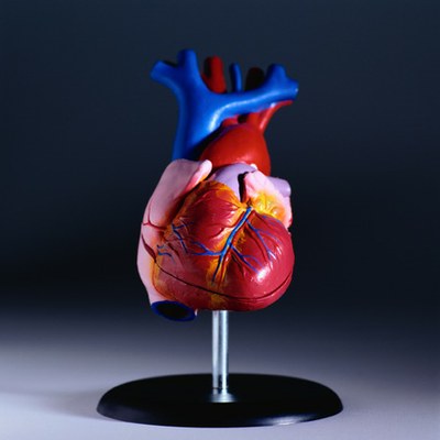 INESC TEC develops cardiovascular monitoring system
