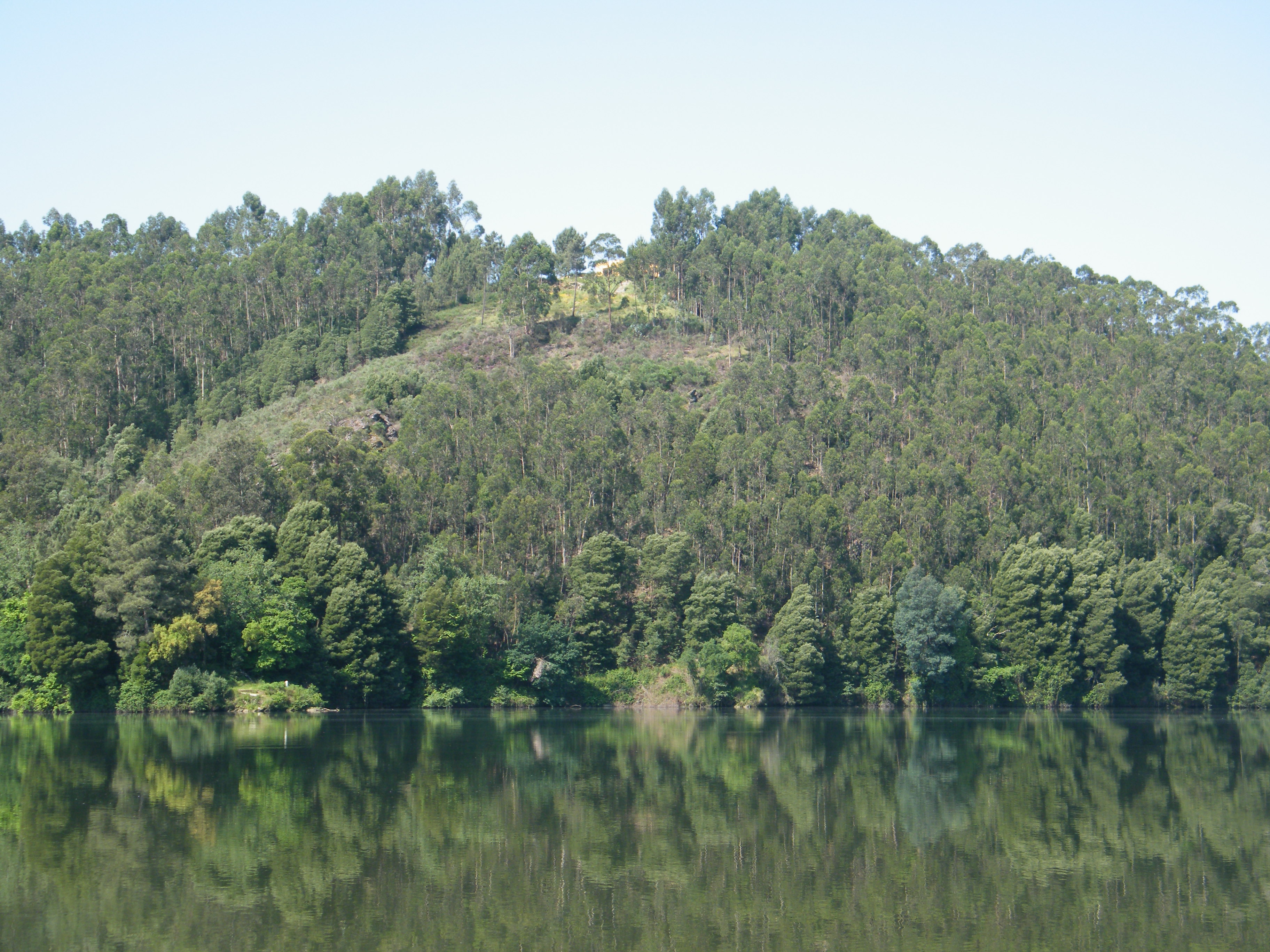 INESC TEC promotes Collaborative Laboratory for Integrated Forest and Fire Wise Management