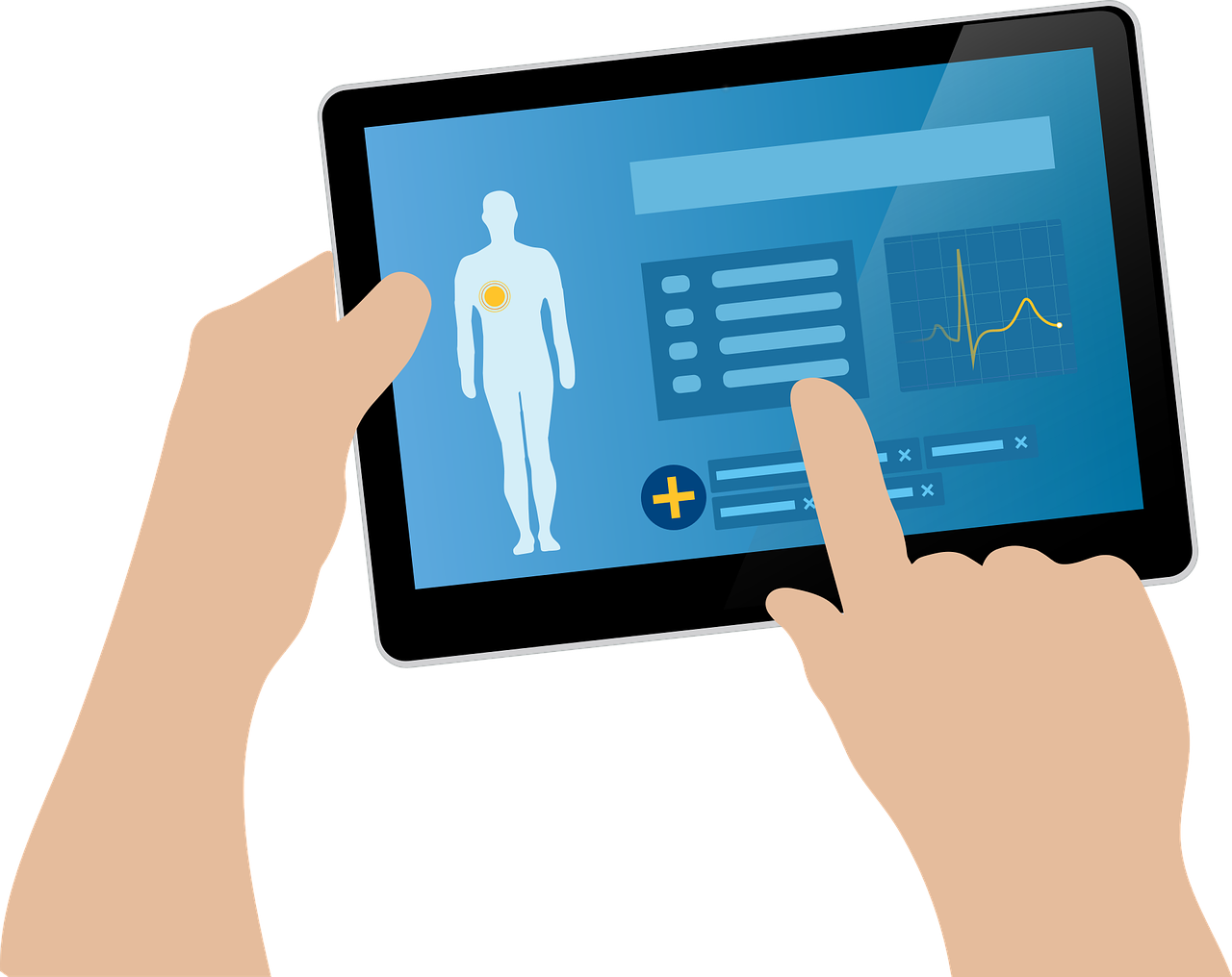 INESC TEC's researchers develop tools to facilitate kidney donation between countries